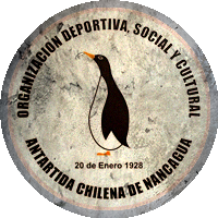 Logo Antártida Chilena